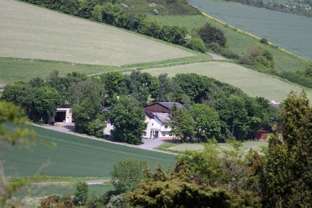 Ferienwohnung Heideblick Volkesfeld Exteriör bild